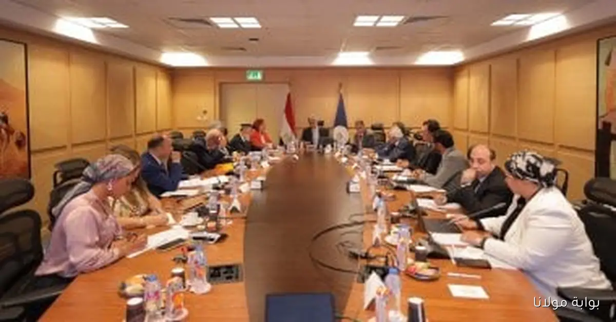 زيادة ملحوظة في الحركة السياحية لمصر تصل إلى 22% بدءًا من 2025 وحتى يوليو