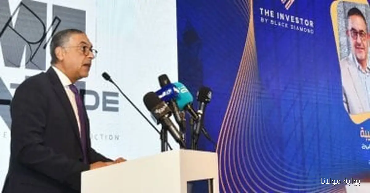 زيادة ملحوظة في عدد الشركات الجديدة في قطاع التشييد والبناء خلال 2024 بنسبة 20%