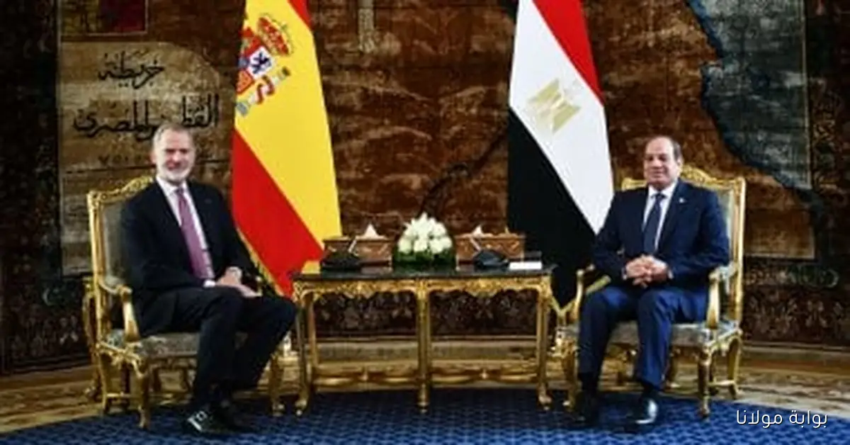 زيارة الملك فيليبي السادس للقاهرة: مصر تلعب دوراً محورياً في الاقتصاد الإقليمي وفقاً لصحيفة إسبانية