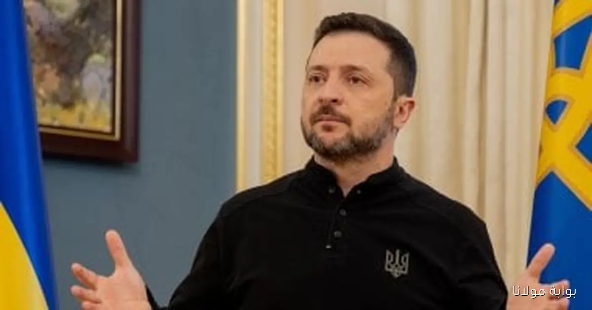 زيلينسكي: نتطلع للحصول على 2.9 مليار يورو لتمويل شراء أسلحة أمريكية
