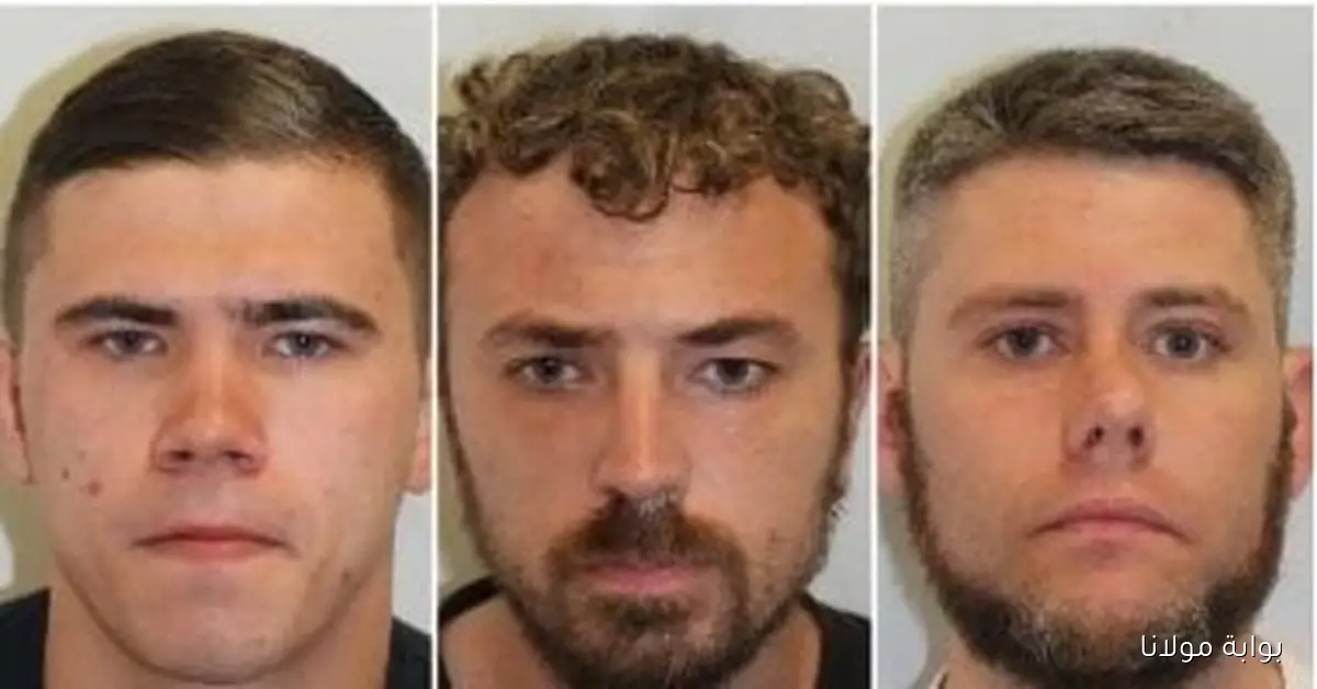 سجن 3 رجال في بريطانيا بعد تركهم رؤوس خنازير خارج مبانٍ للمسلمين