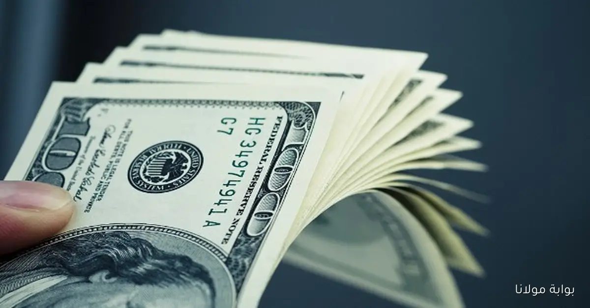 سعر الدولار الأمريكي اليوم مصر السبت 13 سبتمبر 2025 في السوق السوداء