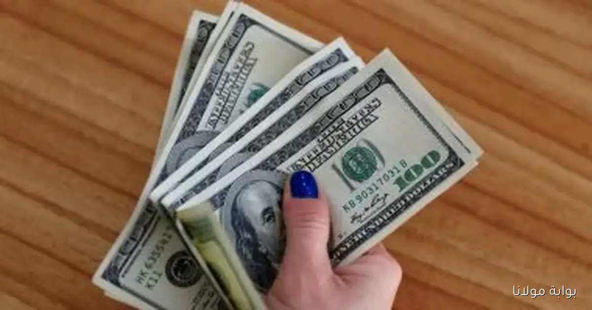 سعر الدولار اليوم الإثنين 29 سبتمبر 2025 في بداية التداولات صباحًا