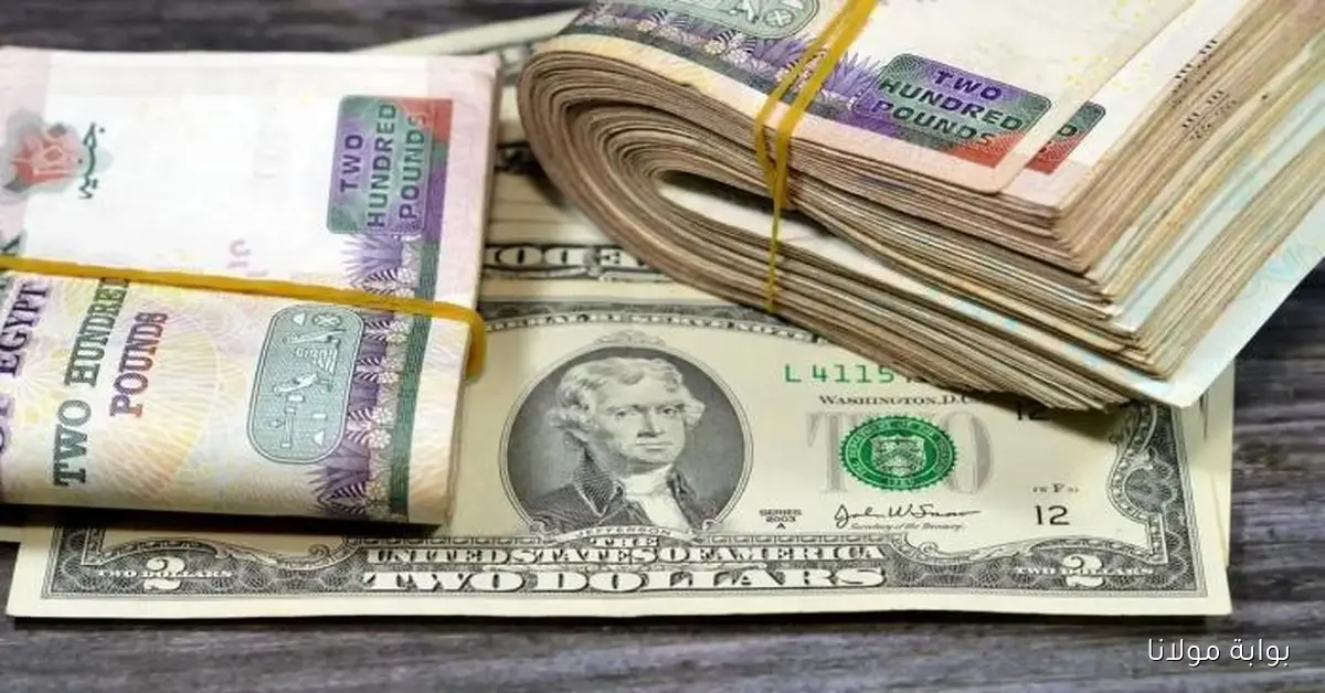 أعلى سعر.. تحديث سعر الدولار مقابل الجنيه اليوم الإثنين 29 سبتمبر 2025 وارتفاع محدود