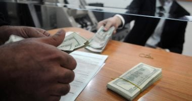 سعر الدولار