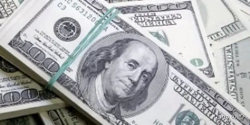 سعر الدولار في البنك التجاري الدولي “CIB” اليوم الأربعاء