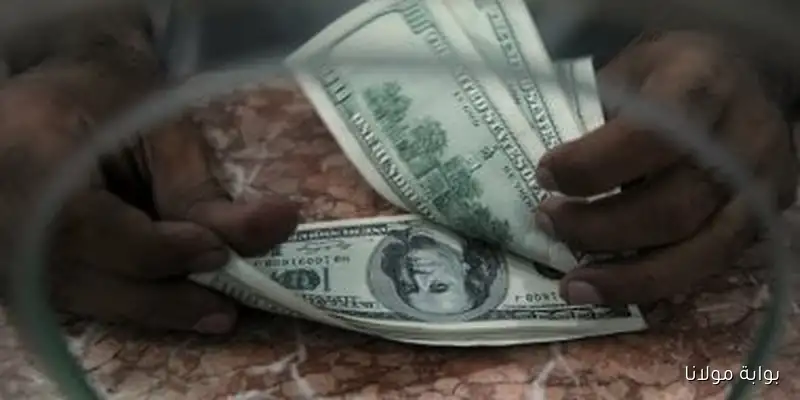 سعر الدولار في البنك المركزي اليوم الثلاثاء 9 سبتمبر 2025 مقابل الجنيه
