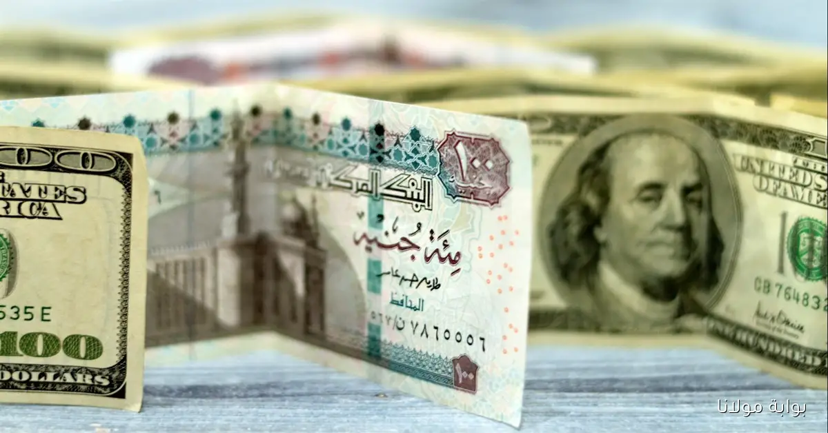 سعر الدولار في السوق السوداء اليوم لحظة بلحظة الثلاثاء 17 سبتمبر 2025 وجميع البنوك
