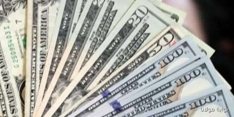 سعر الدولار مقابل الجنيه في البنك المركزي المصري: كل ما تحتاج معرفته