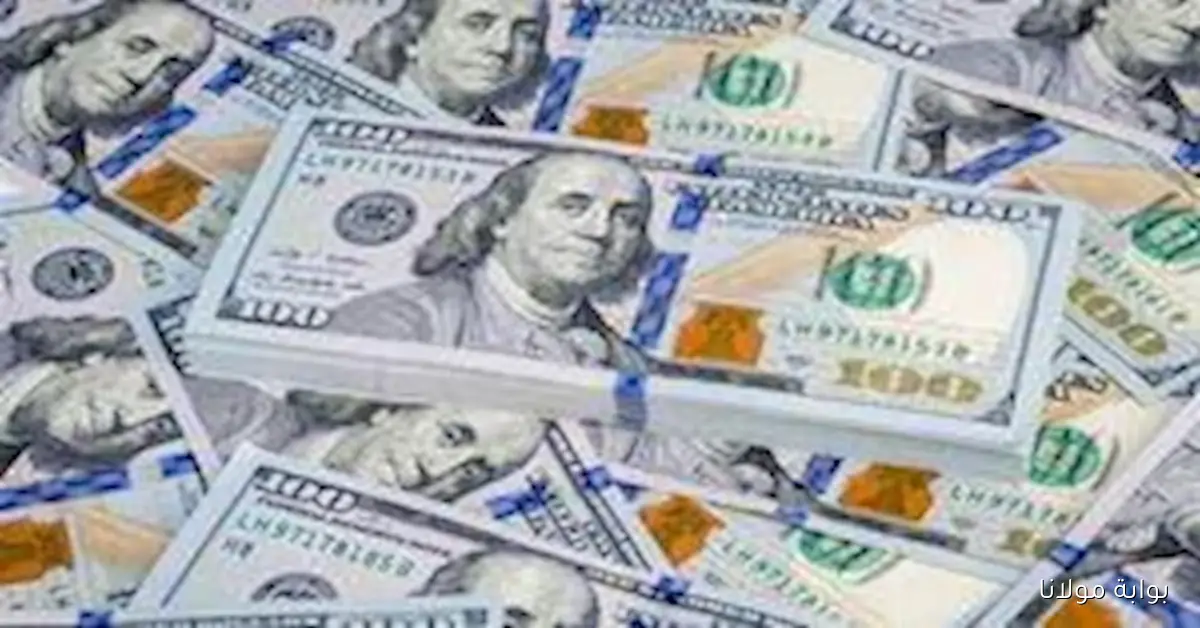 سعر الدولار يسجل ارتفاعًا في 9 بنوك مع ختام تعاملات يوم الخميس