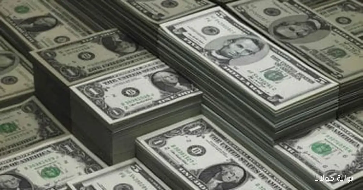 سعر الدولار ينخفض اليوم الثلاثاء ليصل إلى 47.97 جنيه للشراء مقابل الجنيه