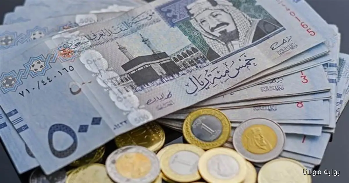 100 ريال بكام جنيه؟؟ سعر الريال السعودي اليوم الثلاثاء 2025/9/16 في السوق السوداء والبنوك المصرية