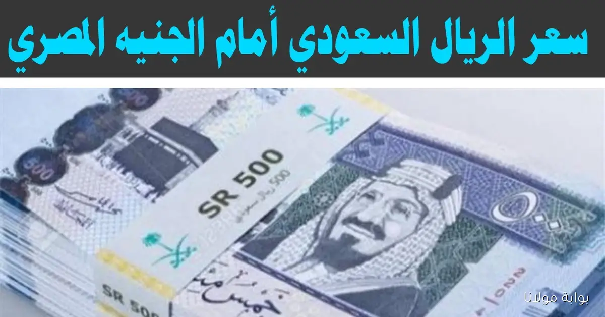 سعر الريال السعودي اليوم في السوق السوداء الاربعاء 17 سبتمبر 2025 والبنوك مقابل الجنيه المصري