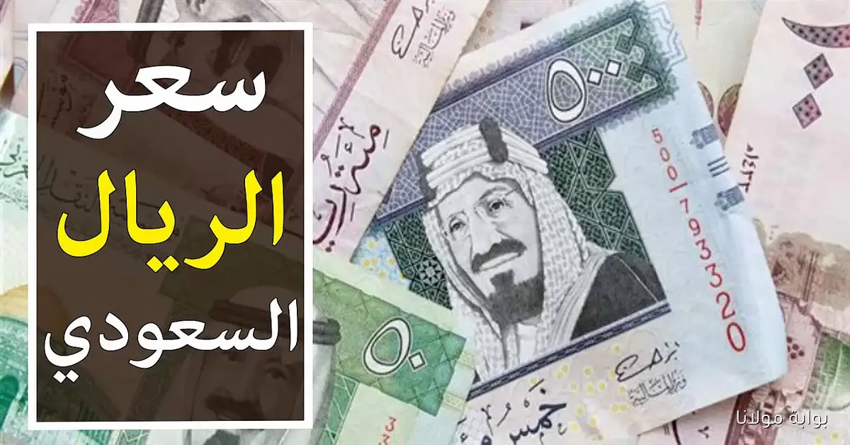 SAR الآن.. سعر الريال السعودي في السوق السوداء اليوم الأثنين 15 سبتمبر 2025 مقابل الجنية المصري