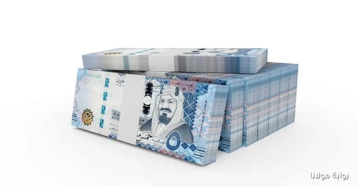 هبوط الآن.. سعر الريال السعودي مقابل الليرة السورية اليوم الأربعاء 24 سبتمبر 2025 وآخر تحديث لحركة البيع والشراء في دمشق وحلب عبر البنوك والتحويلات