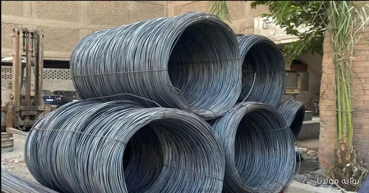 سعر طن الحديد اليوم الأحد 14-9-2025 يتراجع في الشركات المصرية