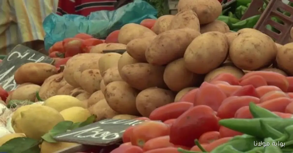 «سوق الفلاح» ضد الغلاء.. تونس بين تراجع التضخم وأسعار غذاء مرتفعه