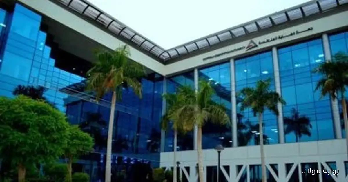 شركة كيري هولدنجز تسعى لشراء 90% من جي إس إف إيجيبت لتعزيز استثماراتها