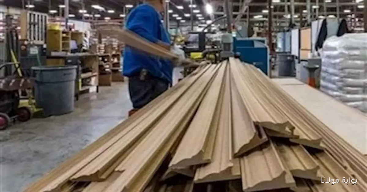 صناعة الأخشاب ترحب بخطوة الحكومة لدعم المشروعات الصغيرة من خلال مبادرة الـ 5%