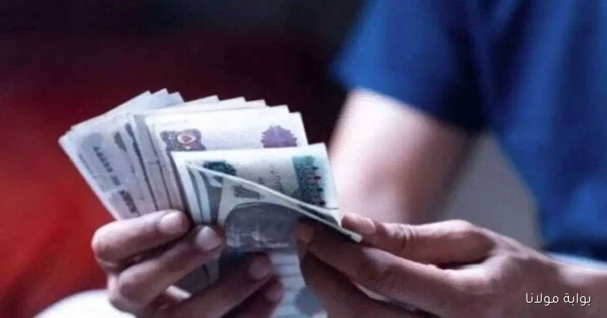 غدًا يبدأ صرف معاشات أكتوبر 2025 في مصر بالزيادات الأخيرة