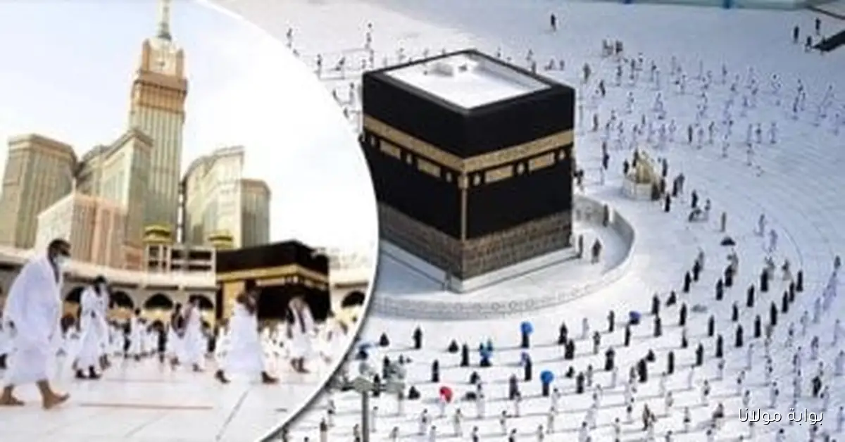 غرفة السياحة تبدأ نشر أسماء الكيانات غير الشرعية وتقدم بلاغات ضدها بالنيابة
