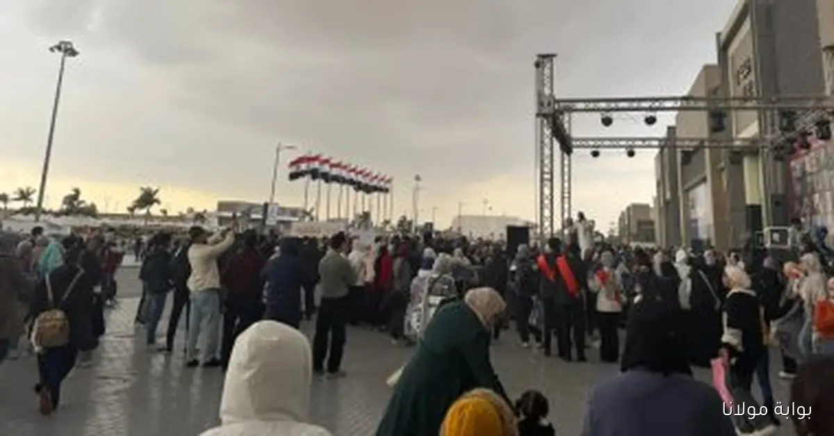 فرصة مميزة لدور النشر للمشاركة في معرض القاهرة الدولي للكتاب 2026