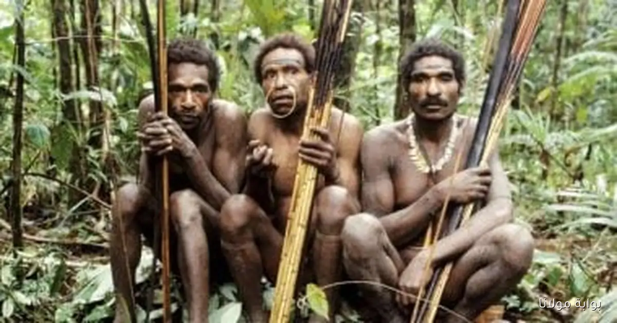 قبيلة أفريقية تواجه قرارًا قضائيًا وتتمسك بحقها في البقاء بغابات اسكتلندا