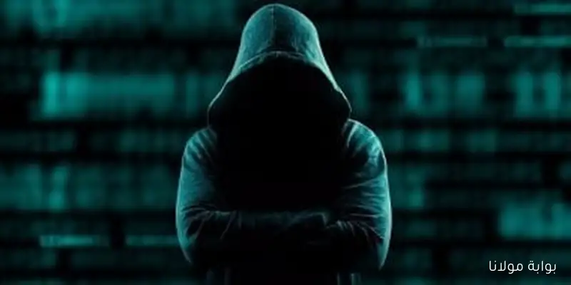 قراصنة صينيون يتظاهرون بانتمائهم لعضو في الكونغرس للاستفسار عن عقوبات ضد بكين