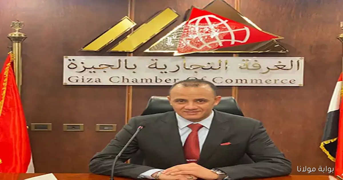 قريبًا.. حظر بيع الدواجن الحية في الجيزة والاكتفاء بالمنتجات المبردة والمجمدة