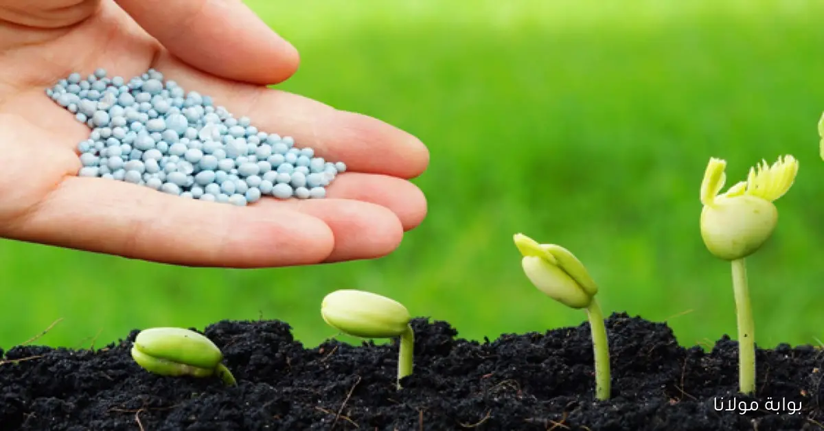 قفزة في أسعار طن اليوريا يصل إلى 2089 جنيها اليوم