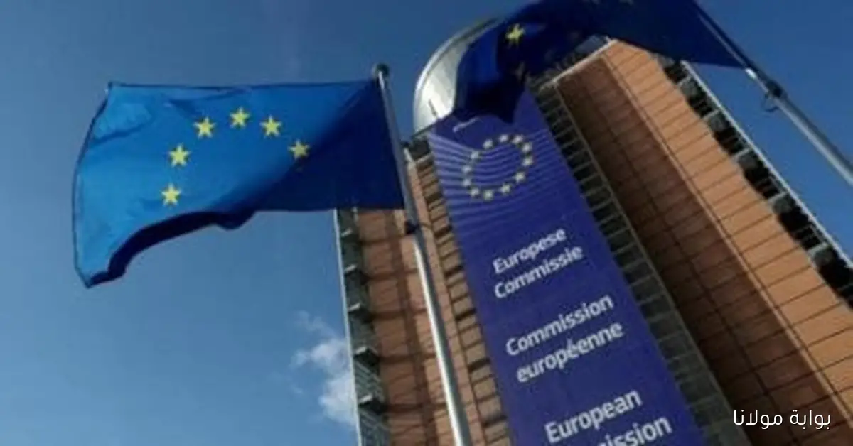 قوانين أوروبية جديدة قد تؤثر على تجارة القهوة العالمية بدءًا من 2026