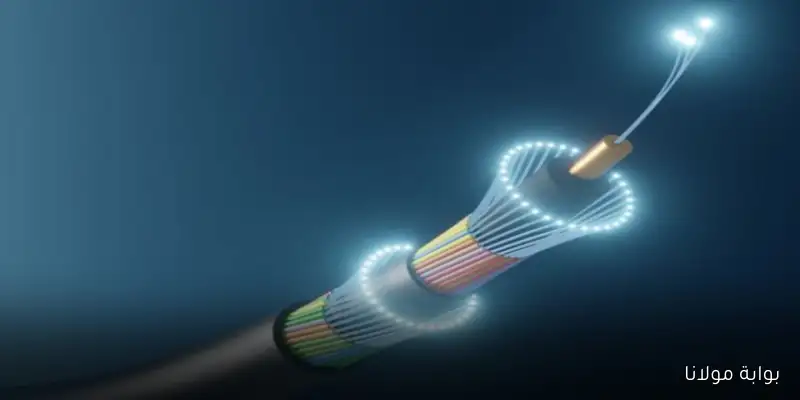 هل يتوقف الإنترنت؟ أزمة كابلات البحر الأحمر تهز العالم في 2025