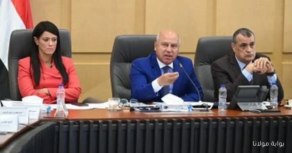 كامل الوزير يؤكد التزام الدولة بتوفير الغاز اللازم لتشغيل مصانع الأسمدة