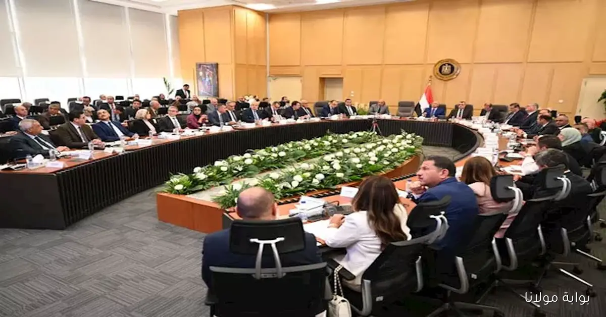 كامل الوزير يؤكد التزام الدولة بتوفير الغاز اللازم لتشغيل مصانع الأسمدة