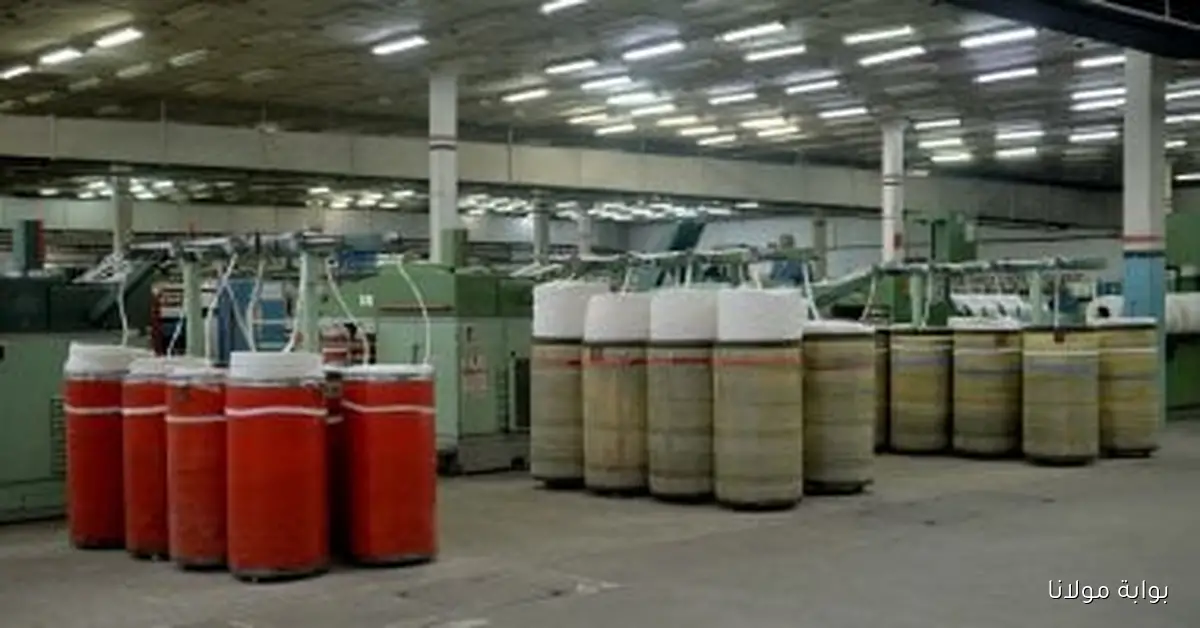 كيف يمكن لصناعة الغزل تحسين جودة منتجاتها وزيادة تنافسيتها في السوق