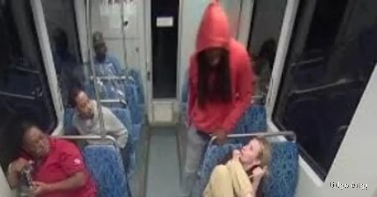 لحظات مؤلمة لأوكرانية تعرضت للطعن في مترو بأمريكا تثير تعاطف العالم