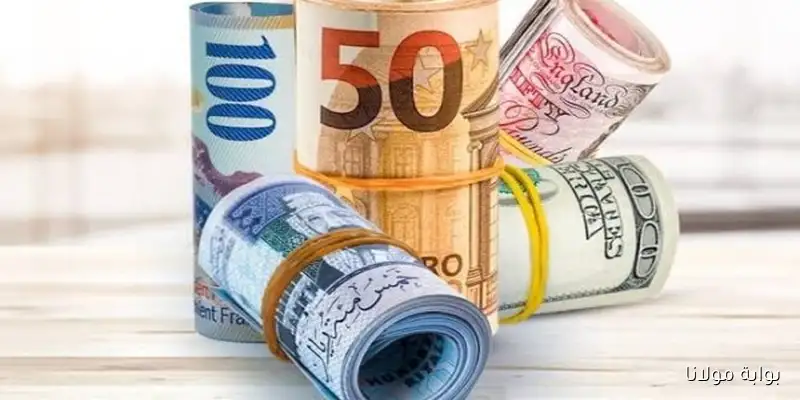 الدولار واليوان الصيني بكام.. إعرف متوسط أسعار العملات الأجنبية في مصر اليوم