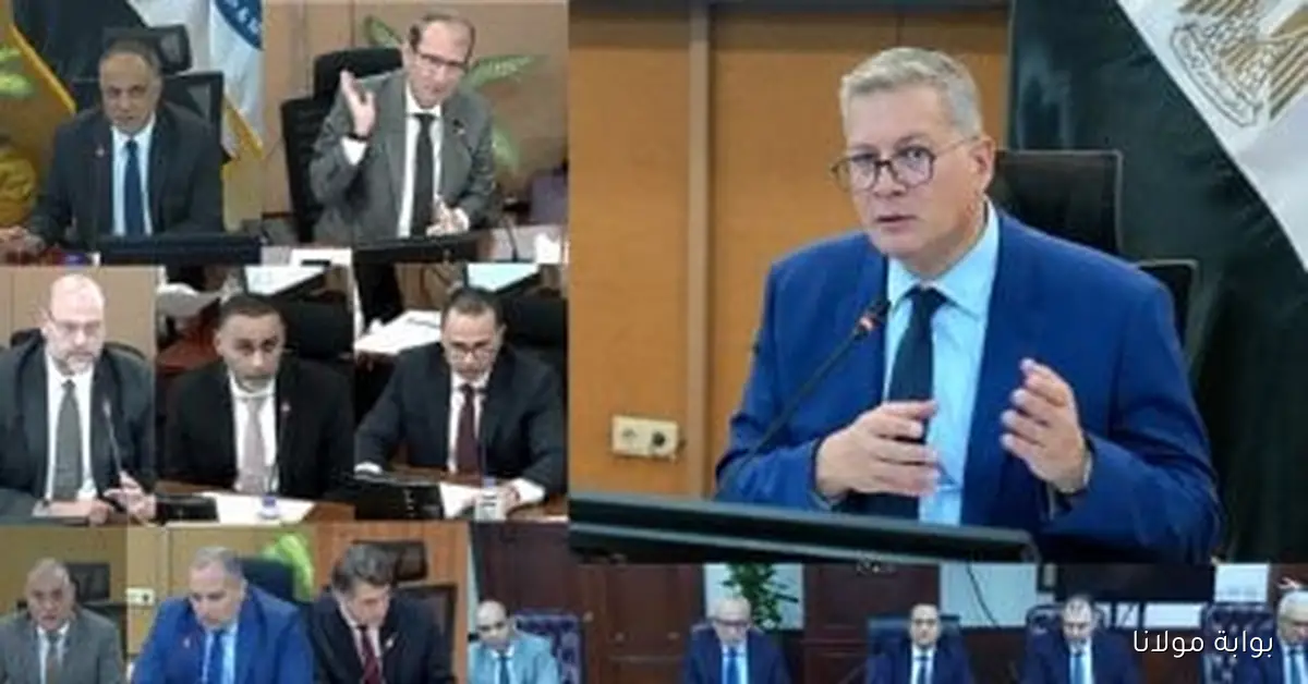 متوسط إنتاج حقول الفرعونية يصل إلى 76.1 ألف برميل زيت مكافئ يومياً