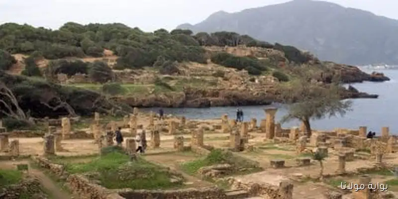 محكمة إيطالية ترفع الحظر عن محطات الكتلة الحيوية في المتنزهات الطبيعية