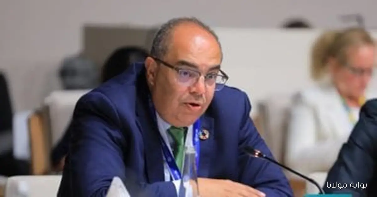 محمود محيى الدين يدعو إلى إصلاحات جذرية في نظام العمل متعدد الأطراف