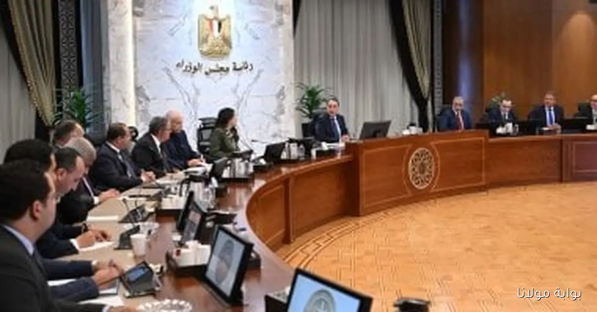 مدبولي: قطاع التطوير العقاري يلعب دوراً محورياً في دفع عجلة النمو الاقتصادي الوطني