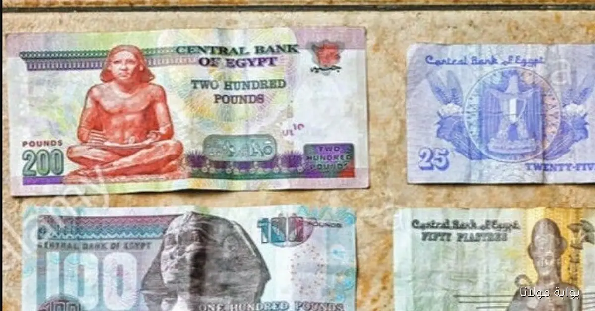 موعد مرتبات سبتمبر في مصر 2025 بشرى سارة لموظفي الدولة!