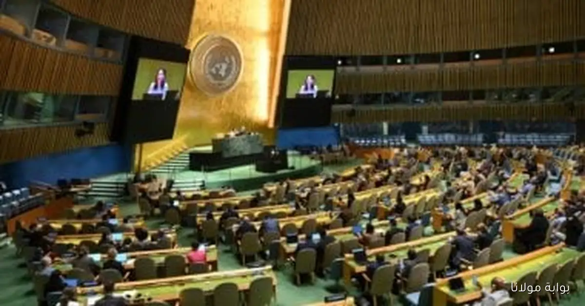 مسئول أممي يؤكد: قرارات الأمم المتحدة تعكس الإرادة الدولية نحو تحقيق حل الدولتين