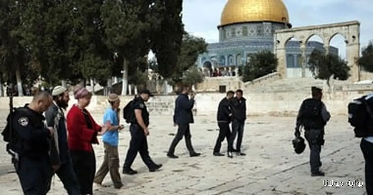 مستوطن يقدم عرض زواج لمستوطنته أثناء اقتحام المسجد الأقصى