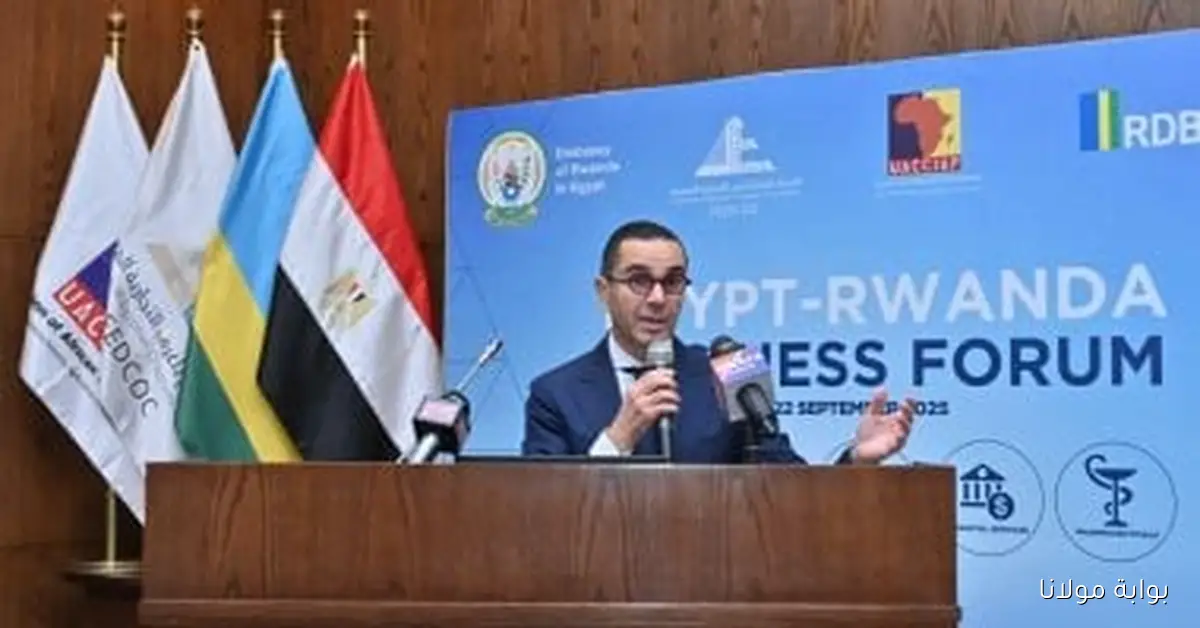 مصر تستهدف دخول قائمة أفضل 50 دولة في مؤشرات تنافسية التجارة خلال عامين وفقًا لوزير الاستثمار