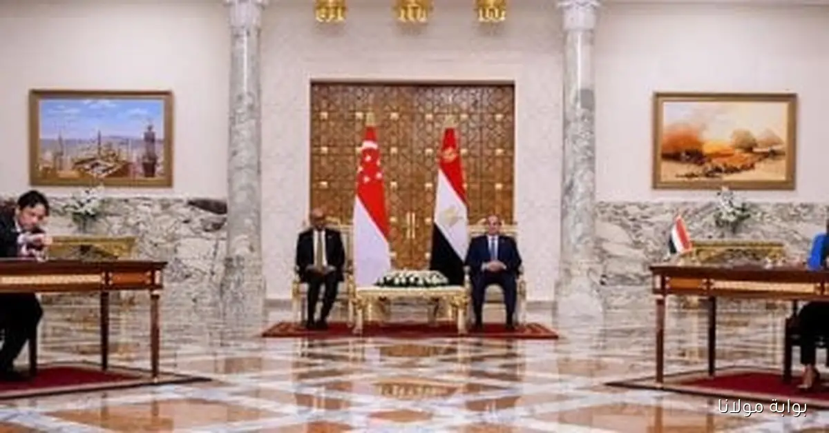 مصر تسعى لتعزيز الروابط التجارية والاستثمارية مع سنغافورة