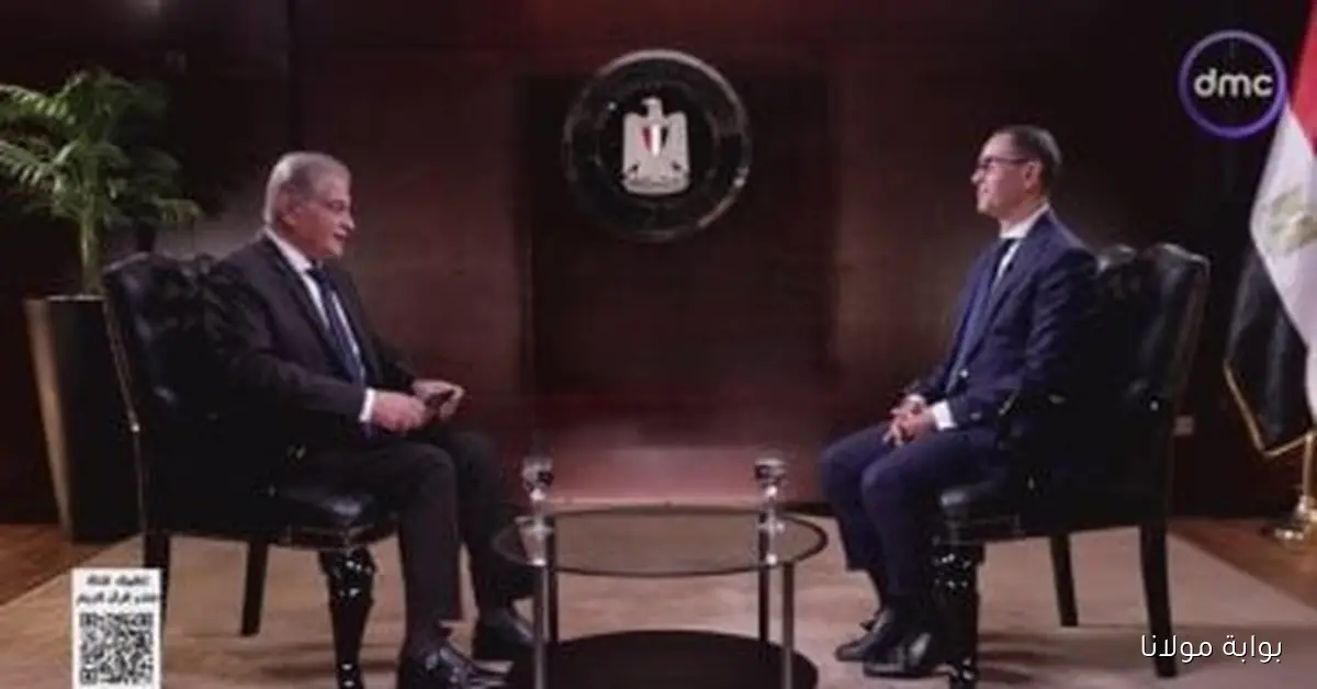 مصر تسعى للارتقاء إلى قائمة أفضل 50 دولة في تنافسية التجارة وفقًا لوزير الاستثمار