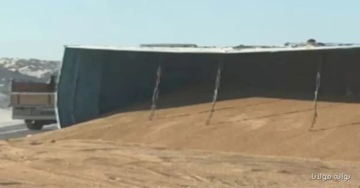 مصر تشهد زيادة ملحوظة في واردات القمح لتصل إلى 12.7 مليون طن هذا العام نتيجة ارتفاع الطلب