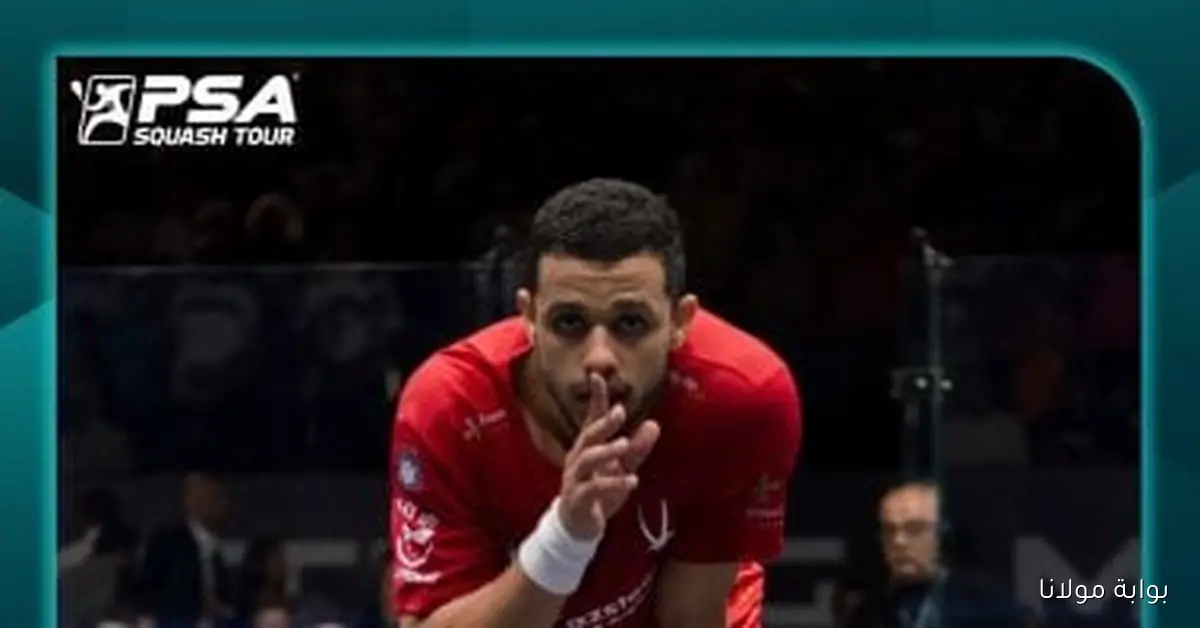 مصطفى عسل يحقق إنجازًا بالتأهل لنهائي بطولة مصر المفتوحة للاسكواش