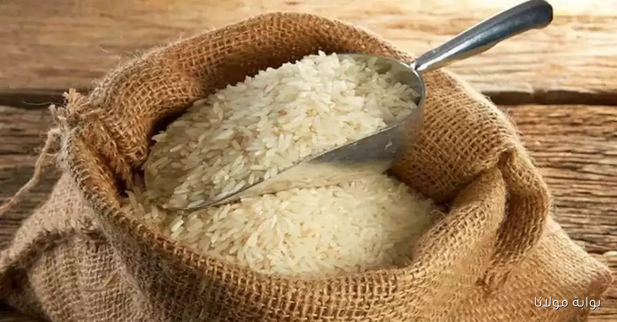 مع زيادة المعروض، هل ستشهد أسعار الأرز انخفاضاً قريباً؟ إجابات الشعبة